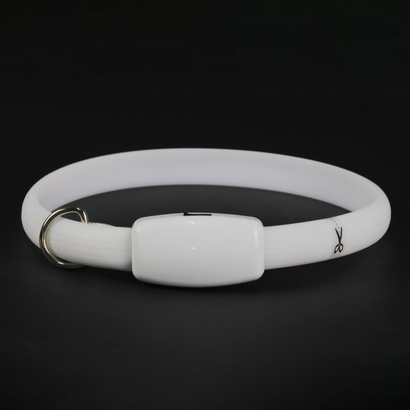 White dog collar with a clip on a black background