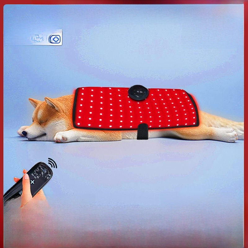 Dog wearing a red heating pad with a remote control on a blue background