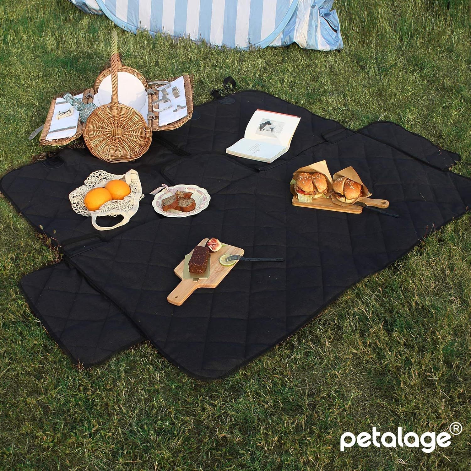Picnic setup on a black quilt with food and picnic basket on grass, featuring petalage brand.